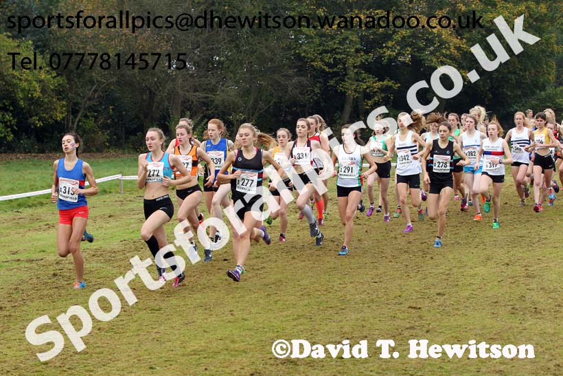 Women under-17s, National Cross Country Relays, Berry Park, Mansfield. Photo: David T. Hewitson/Sports for All Pics